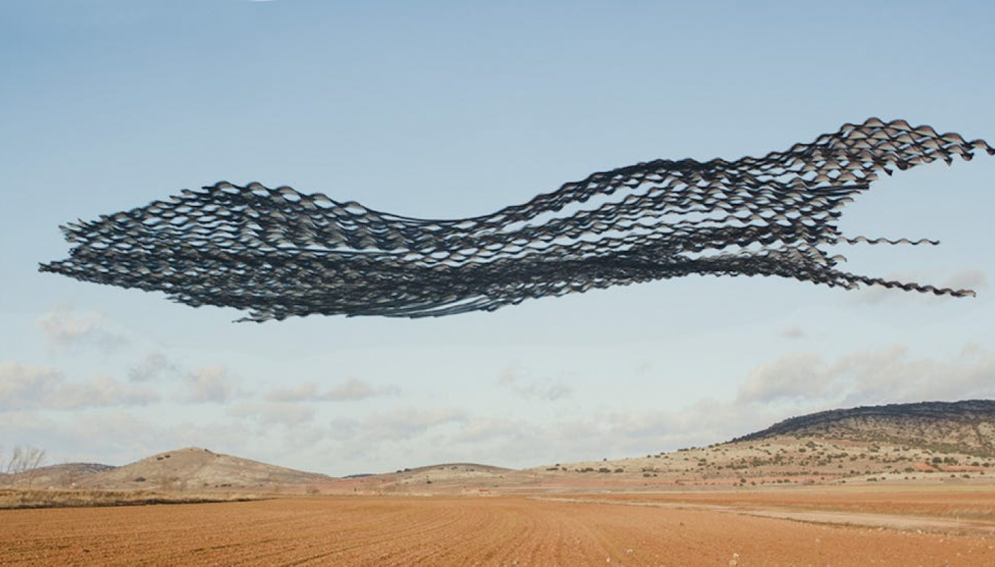 Flock of birds in flight. Image of the Ornitographies project by Xavi Bou.