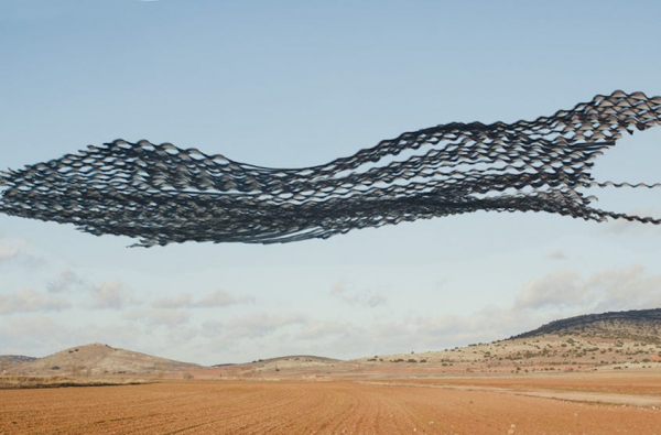 Flock of Birds in flight. Image of the Ornitographies Project by Xavi Bou