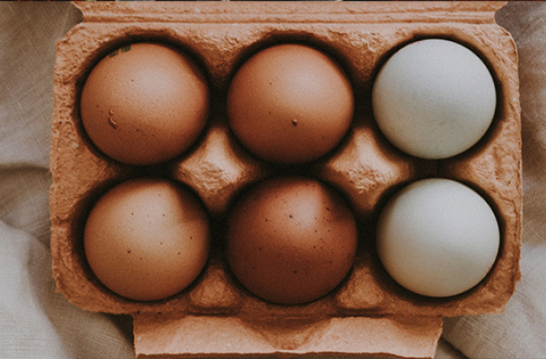 Food Trends and Innovations from Silicon Valley